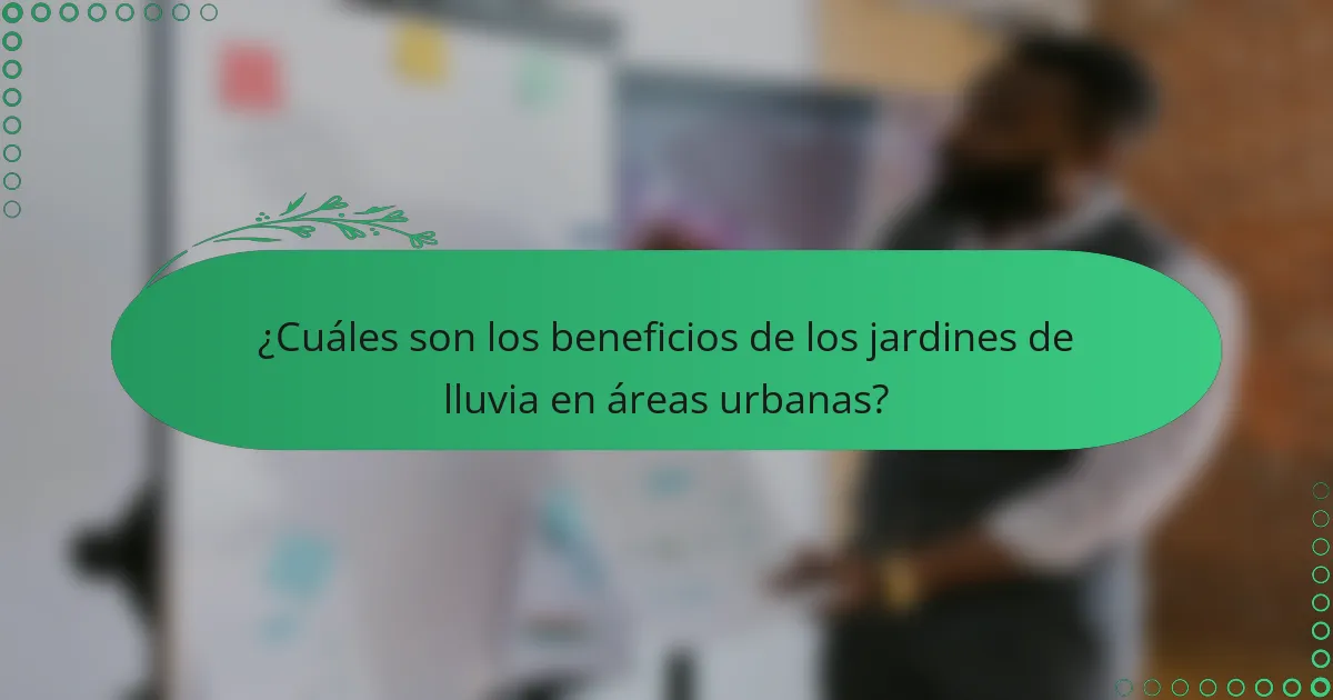 ¿Cuáles son los beneficios de los jardines de lluvia en áreas urbanas?