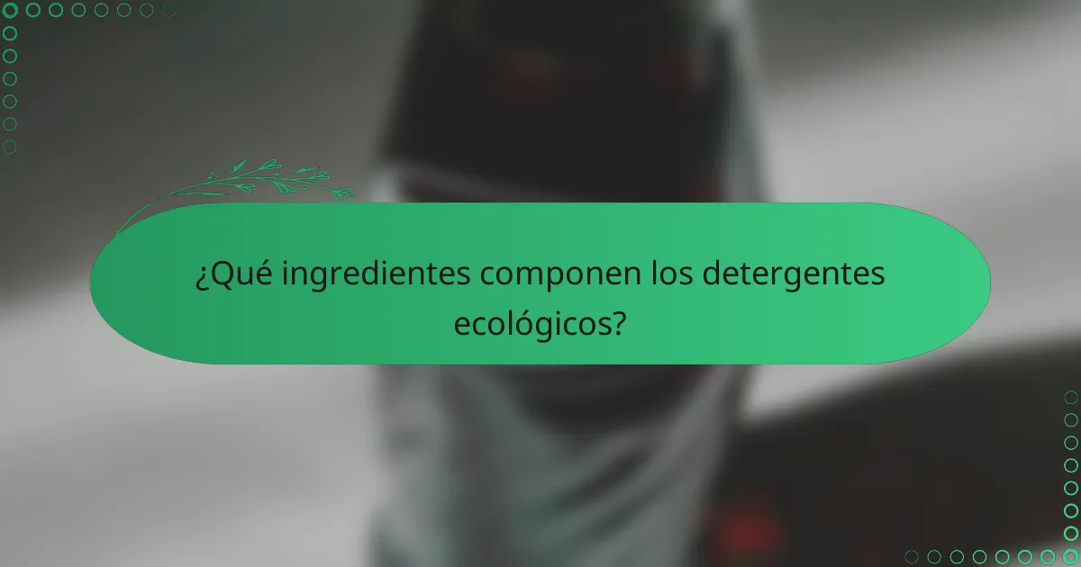 ¿Qué ingredientes componen los detergentes ecológicos?