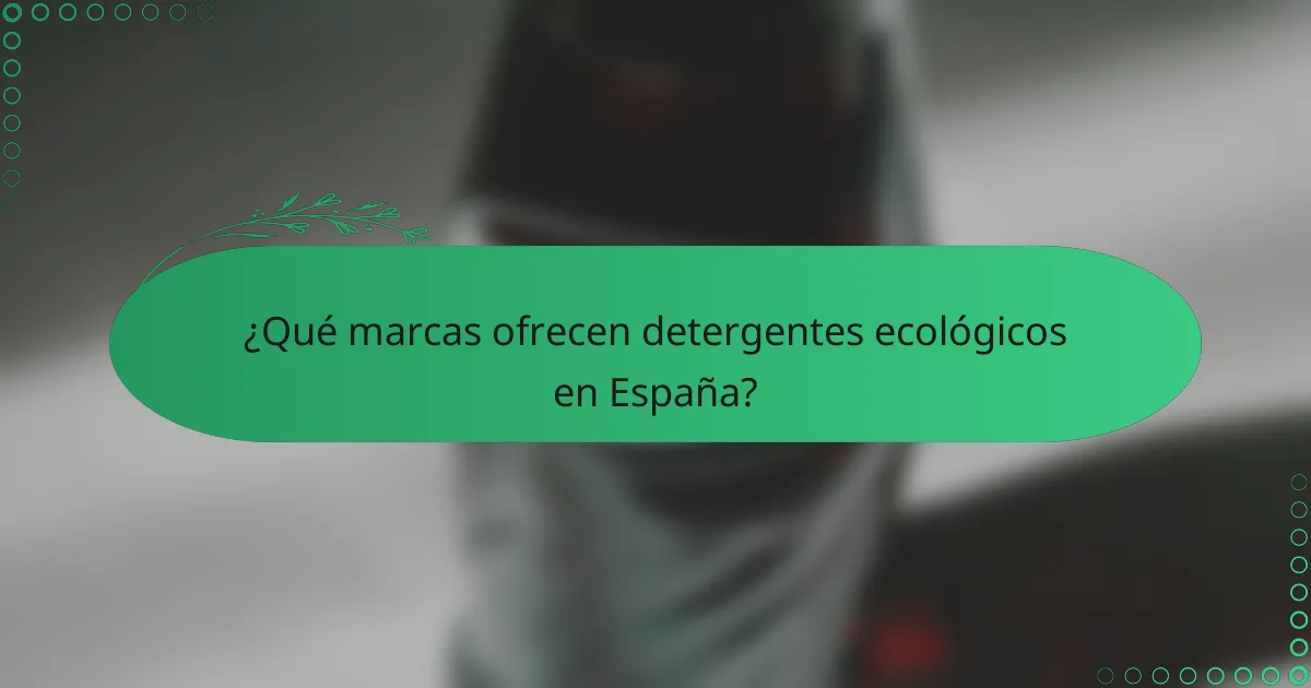 ¿Qué marcas ofrecen detergentes ecológicos en España?